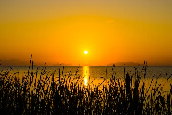 Sunset sky and big sun over the lake. — Stock Photo, Image
