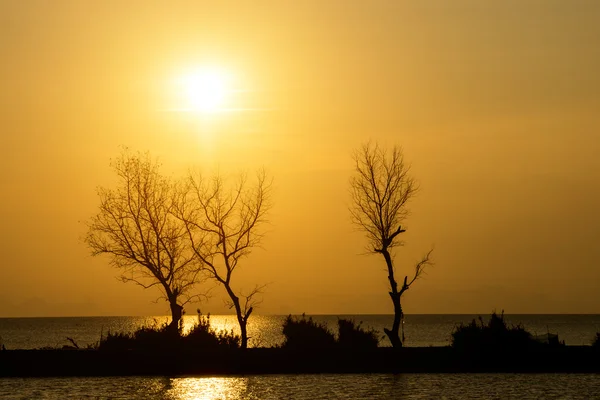 Cielo atardecer y árbol muerto en el lago . — Foto de Stock