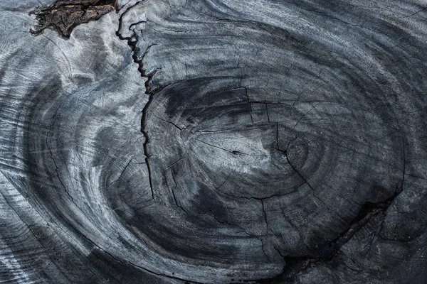 Surface de charbon de bois — Photo