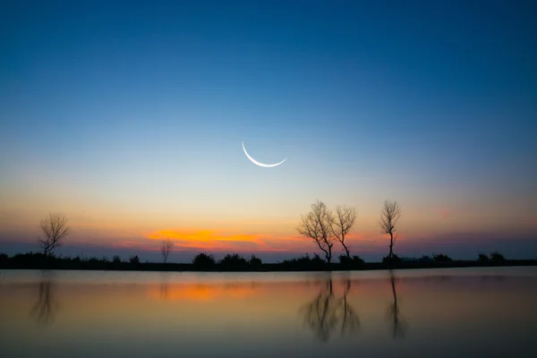 Moonset sky and dead tree at the lake. — Stock Photo, Image