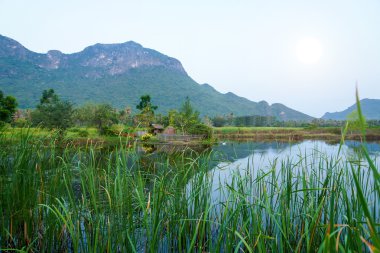 Dağın natur çalışma yüzeyi yansımaları