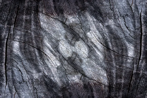 Gammal svart trä textur — Stockfoto