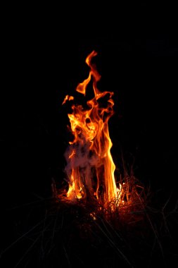 çimenler bahar karanlıkta ateş.