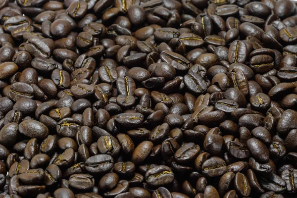 Roasted coffee beans — Stock Photo, Image