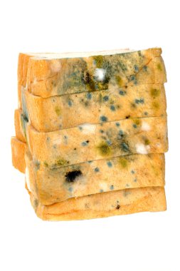 ekmek üzerinde kalıp