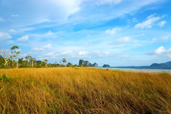Savanna gräsmarker, trang, thailand. — Stockfoto