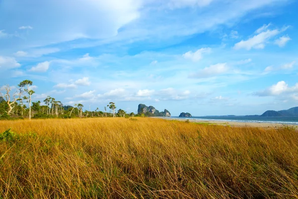 Pastizales de Sabana, Trang, Tailandia . — Foto de Stock