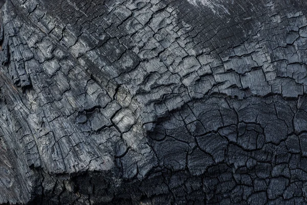 Επιφάνεια του ξυλάνθρακα — Φωτογραφία Αρχείου