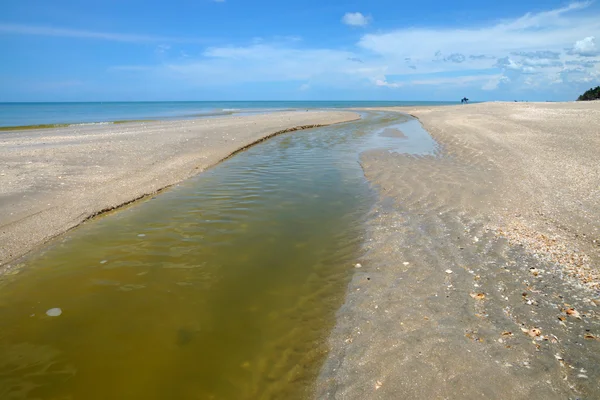 Eaux usées se jetant dans la mer . — Photo