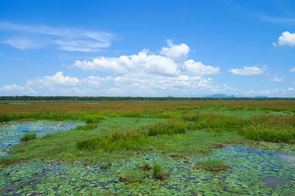 Wildlife heiligdommen van Zuid-thailand. — Stockfoto