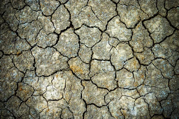 Тріщина ґрунту в сухий сезон, Глобальний ефект черв'яків . — стокове фото