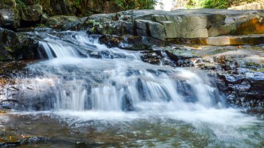 ormandaki küçük şelale.