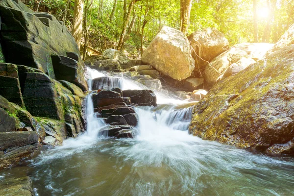 Petite cascade dans la forêt . — Photo