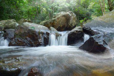 ormandaki küçük şelale.