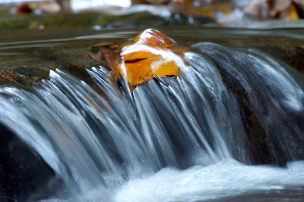 Oranžové listy na vodopádu v lese. — Stock fotografie
