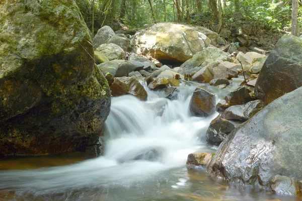 Pequeña cascada en el bosque . —  Fotos de Stock