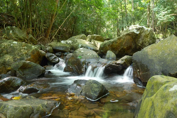 Small waterfall in forest. — Stock Photo, Image