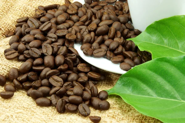 Roasted coffee beans and leaves — Stock Photo, Image