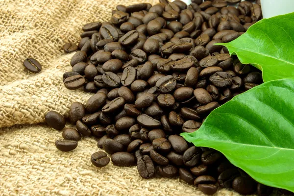 Roasted coffee beans and leaves — Stock Photo, Image