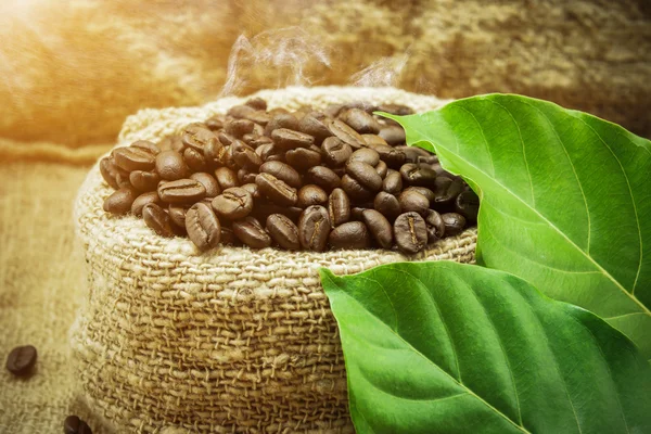 Granos y hojas de café tostados — Foto de Stock