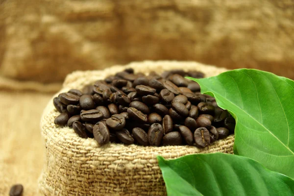 Granos y hojas de café tostados —  Fotos de Stock