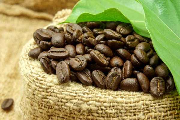 Roasted coffee beans and leaves — Stock Photo, Image