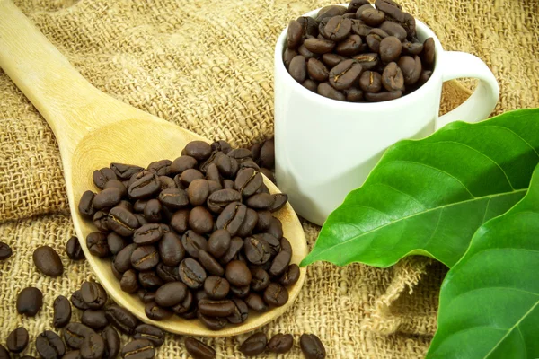 Pražená kávová zrna a listy — Stock fotografie