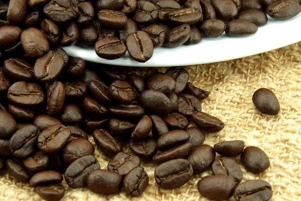 Roasted coffee beans — Stock Photo, Image