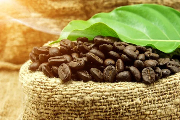 Grains et feuilles de café torréfiés — Photo