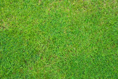Yeşil suni çim desen, doku arka planı için