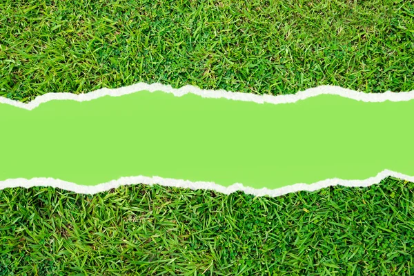 Green artificial turf pattern ,texture for background — Stock Photo, Image