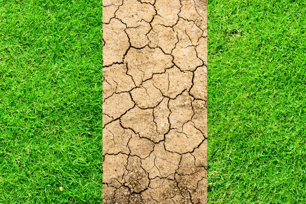 Drought breaks ground fissures of the ground and green grass.