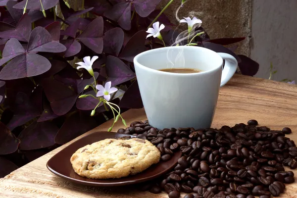 Coffee and cookie on a wood background. — Stock Photo, Image