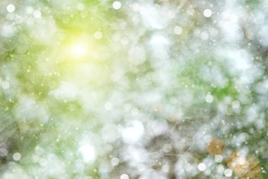 Yeşil bokeh ışıklar.