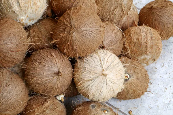 Pelar los cocos fondo de fruta —  Fotos de Stock