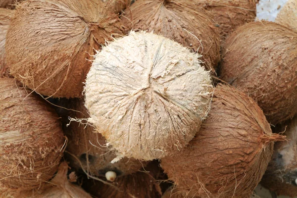Pelar los cocos fondo de fruta —  Fotos de Stock