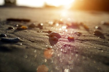 kabukları plaj ve güneş ışığı.