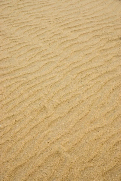 Zand op het strand. — Stockfoto