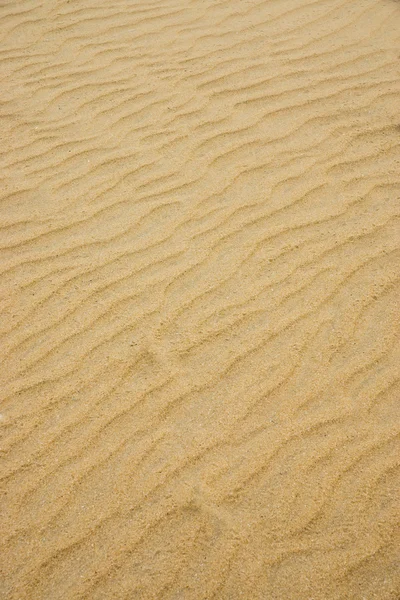 Sable sur la plage. — Photo