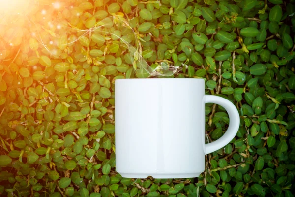 Café du matin avec tasse blanche sur l'herbe . — Photo