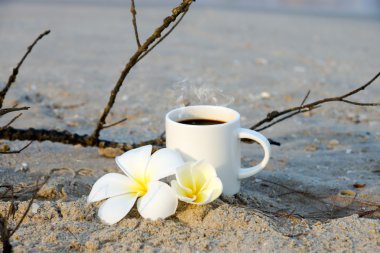 kahve plaj ve frangipani çiçek.