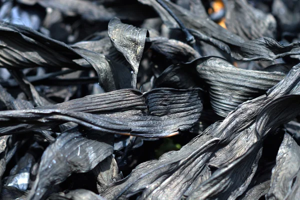 Вугілля деревне з Бамбукові листи, щоб зробити китайський чорнила. — стокове фото