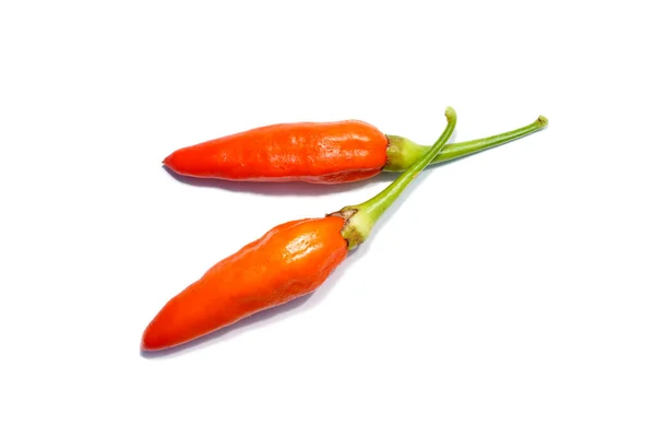 Close Orange Chili Peperoncino Sfondo Bianco Nome Scientifico Capsicum Frutescens — Foto Stock