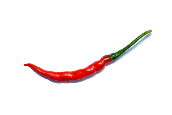 Közelkép Hosszú Piros Chili Chilli Pepper Fehér Háttérrel Tudományos Név — Stock Fotó