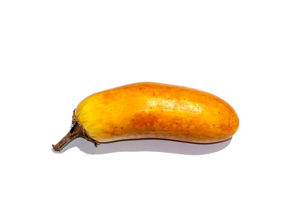 影と白の背景に植物の繁殖に使用するために黄色のナスを閉じます 学名Solanum Melongena — ストック写真