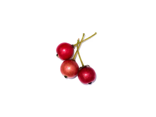 Zamknij Owoce Dżemu Jamajka Wiśnia Malayan Cherry West Indian Cherry — Zdjęcie stockowe