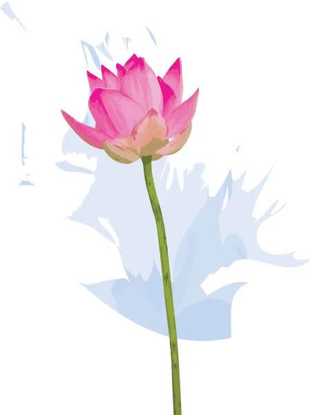 Abstract Pink Lotus Flower Soft Blue Color Background — 스톡 사진