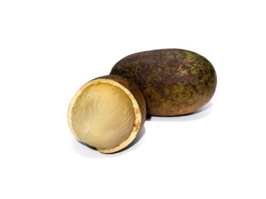 Mata, taun ağacı, ada likörü, tava, pasifik liçi meyvesi beyaz arka planda, yumuşak gölgeli. (Bilimsel adı Pometia pinnata)