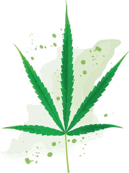 Abstract Marijuana Leaves Color Paint Background — Stock Photo, Image