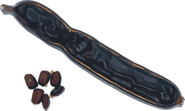 Beyaz zemin üzerinde Doğu Hindistan cevizi, Yağmur ağacı veya maymun tohumları soyut.